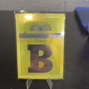 Premium Playboy Chromium Cover Cards Edition 1 letter B