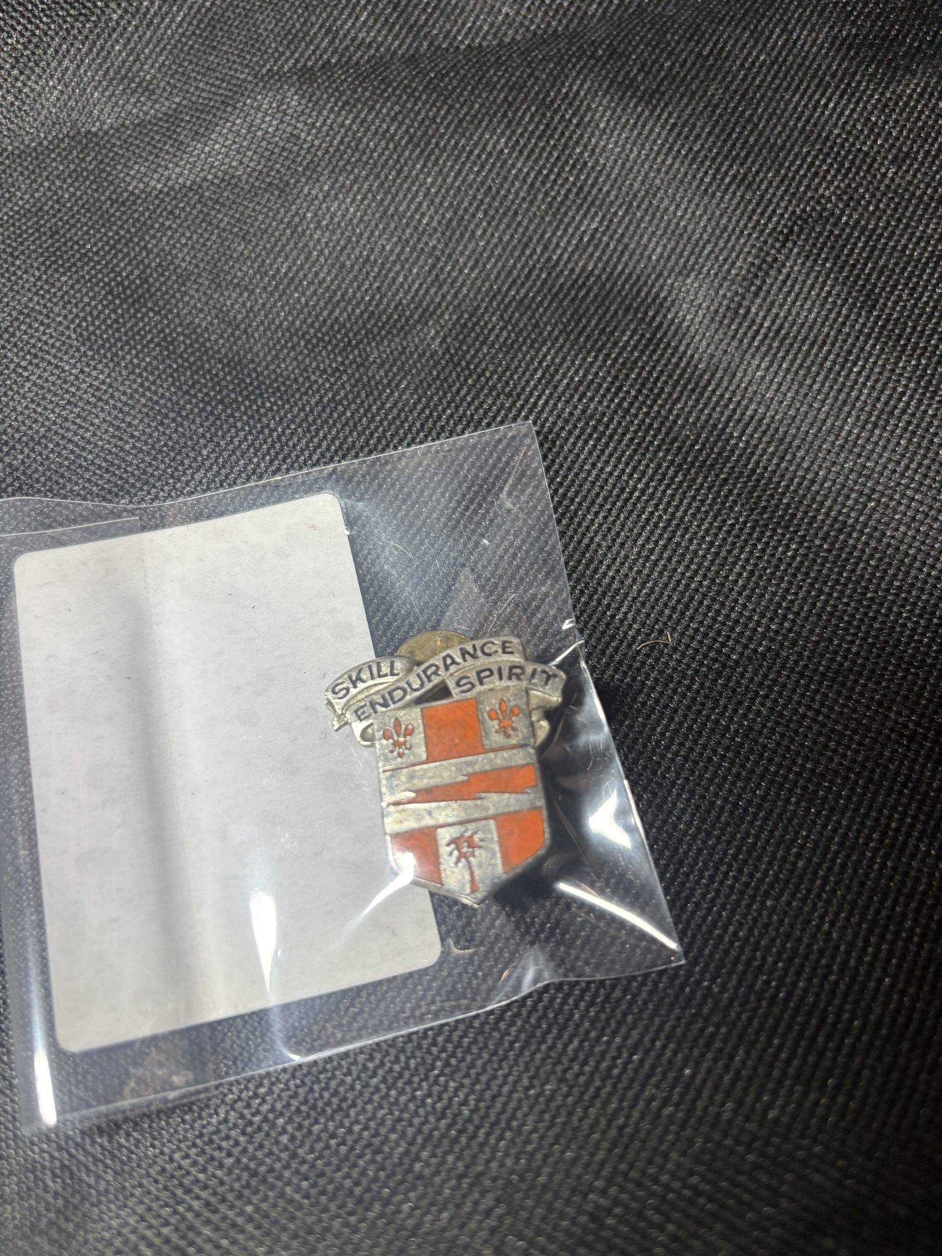 Vintage 29th Infantry Regiment "SKILL ENDURANCE SPIRIT" Distinctive Unit Insignia (DUI) in a protective sleeve.