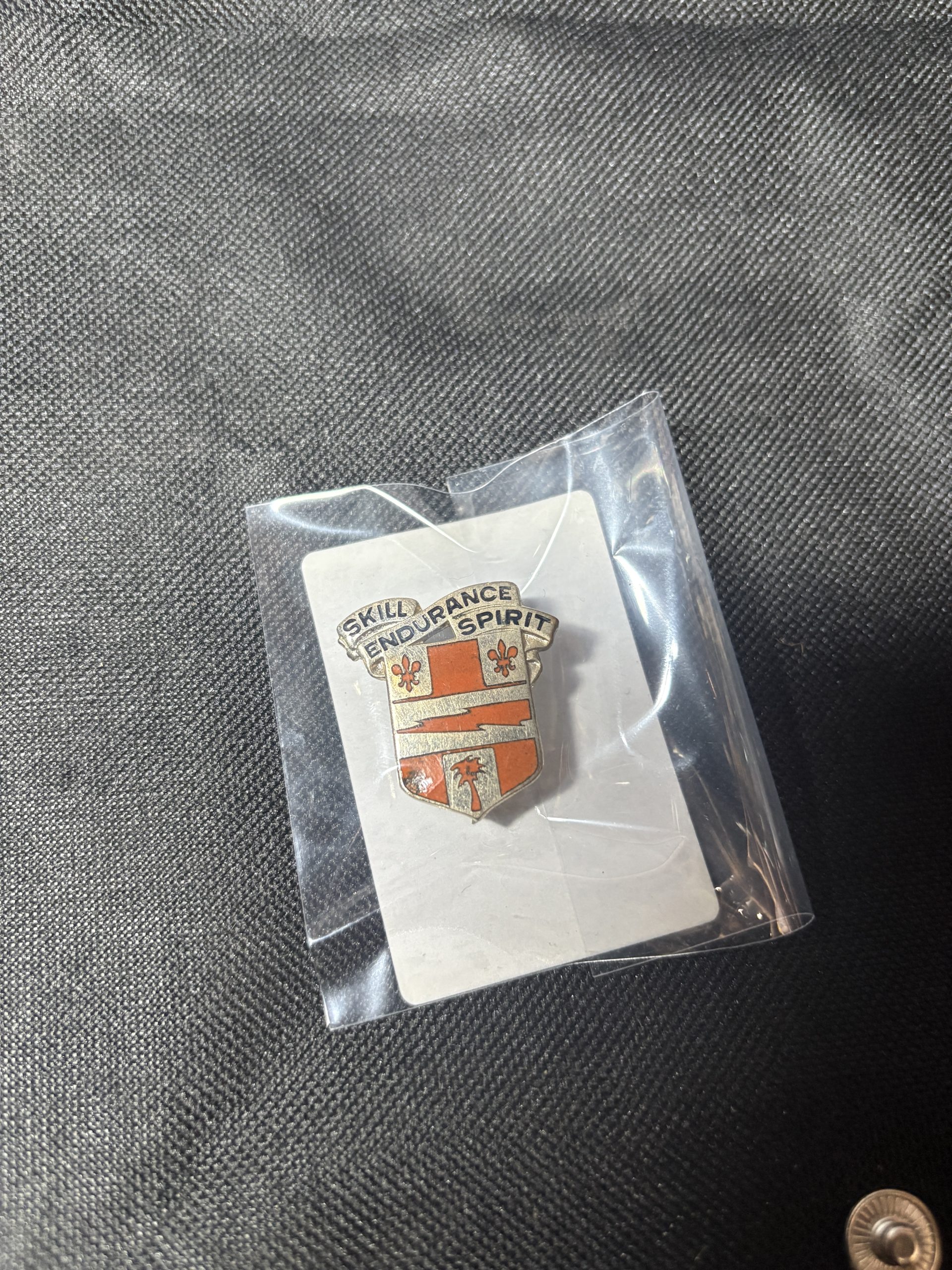 Vintage 29th Infantry Regiment Distinctive Unit Insignia (DUI) - "SKILL ENDURANCE SPIRIT" - Image 4