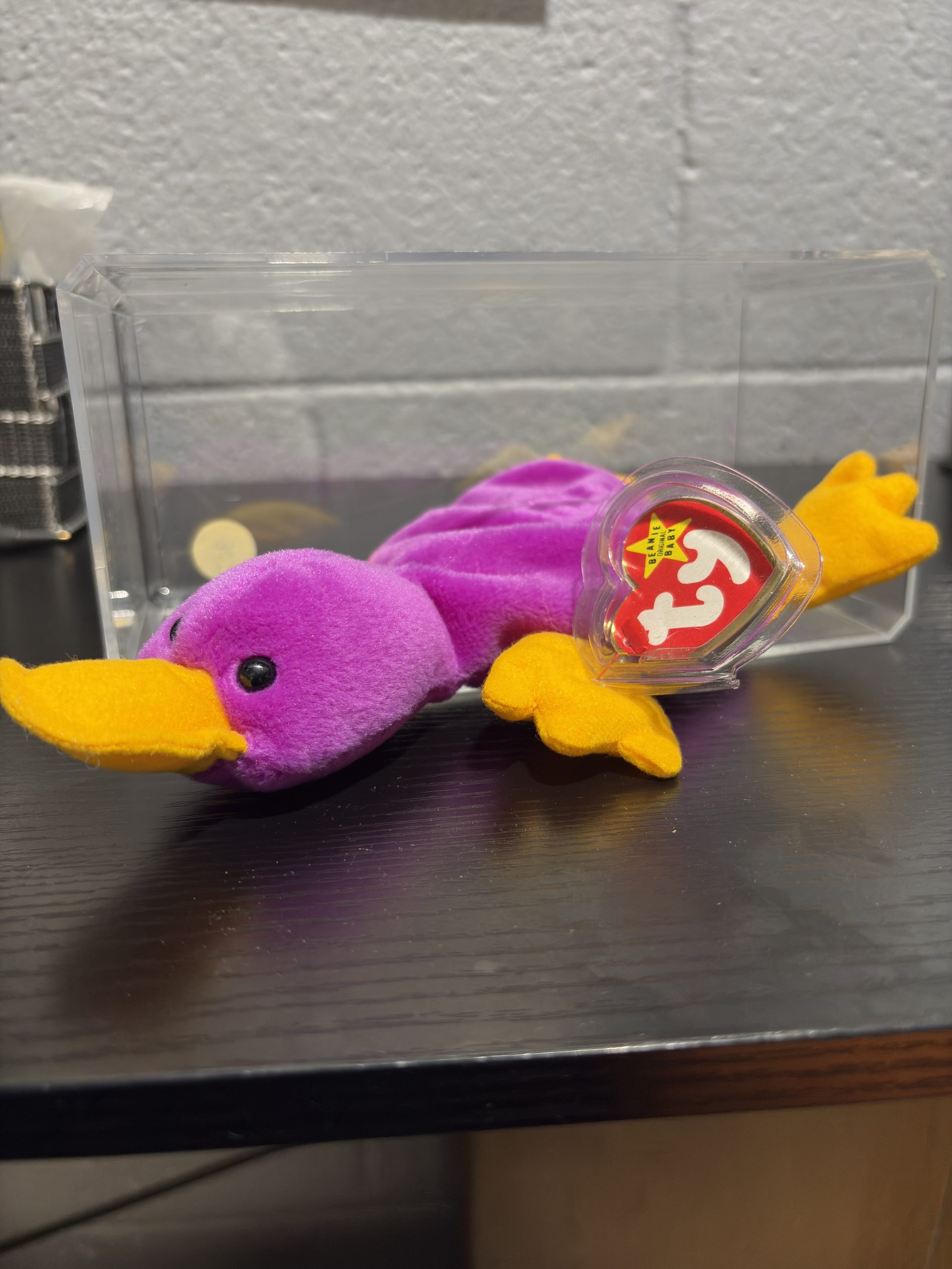 Ty Beanie Baby Patti magenta platypus with heart tag in a clear display case.