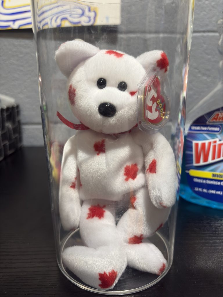 Ty Beanie Baby Chinook white bear with red maple leaves and heart tag in a clear display cylinder.